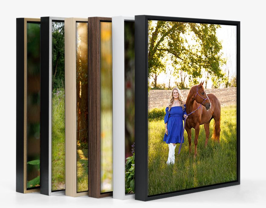 Framed canvas prints in black, walnut, and gold frames featuring a girl in blue dress with a brown horse.