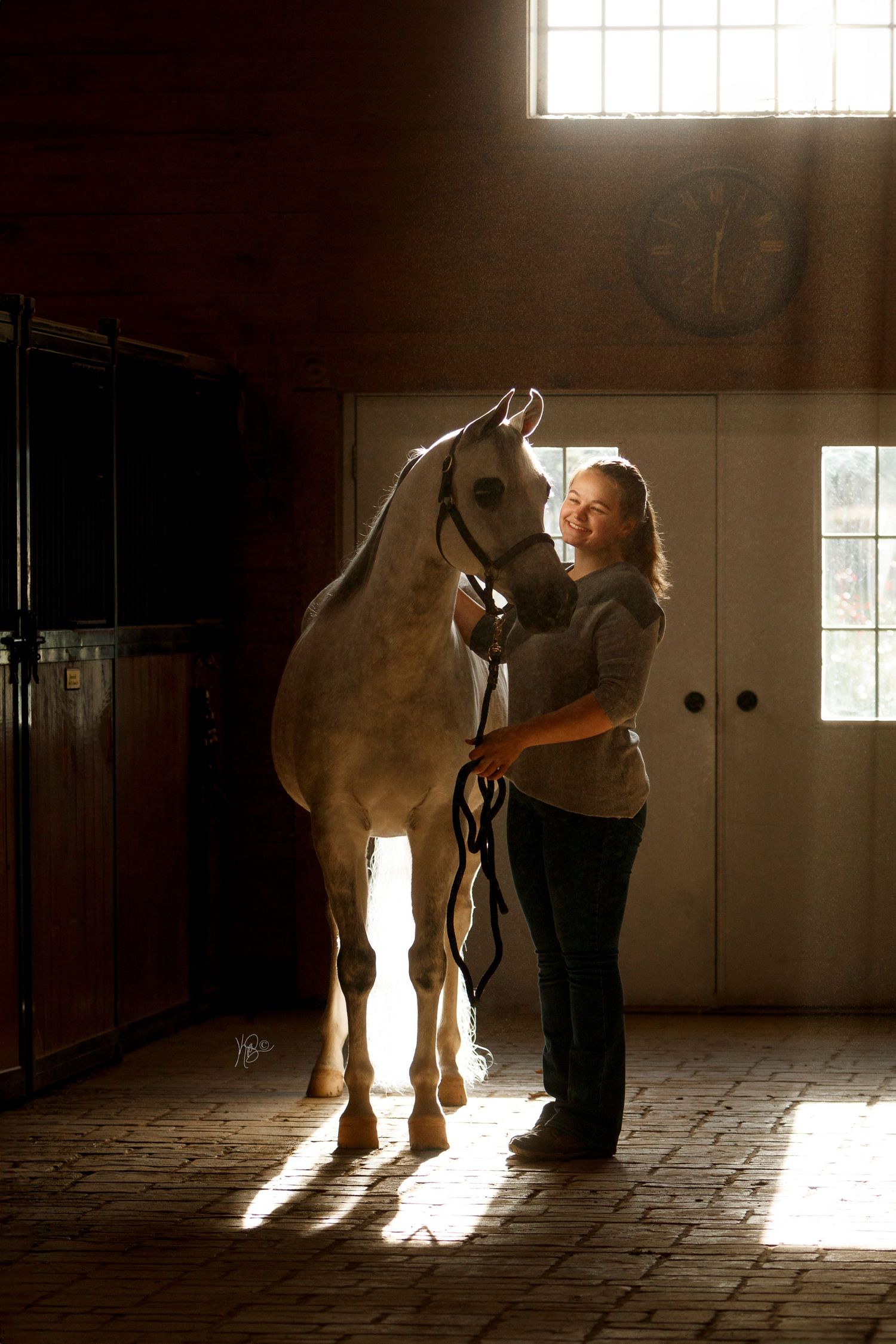 A horse and handler in a sunlit stable creating dramatic silhouettes against streaming window light.