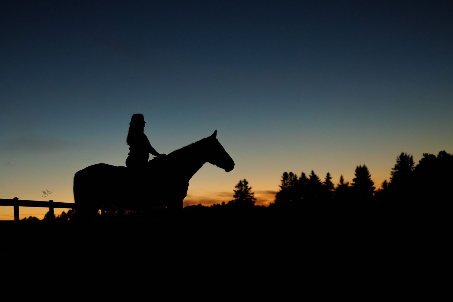 Silhouette of horse and rider portrait against a sunset sky with pine trees.
