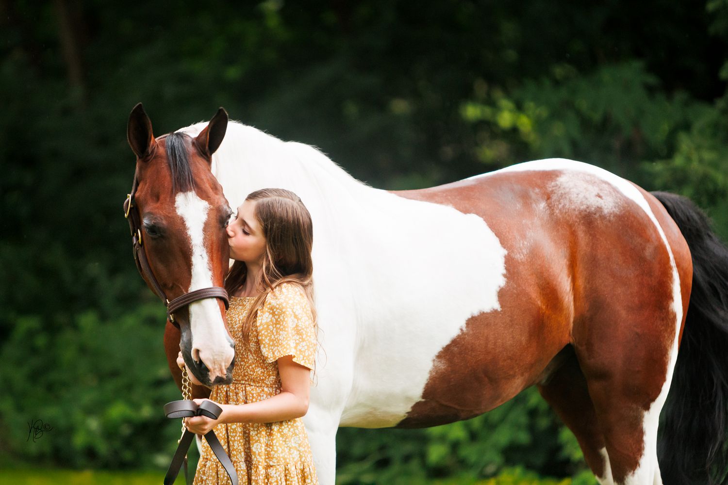 A young girl in a yellow dress kissing the face of her half arabian pinto show horse
