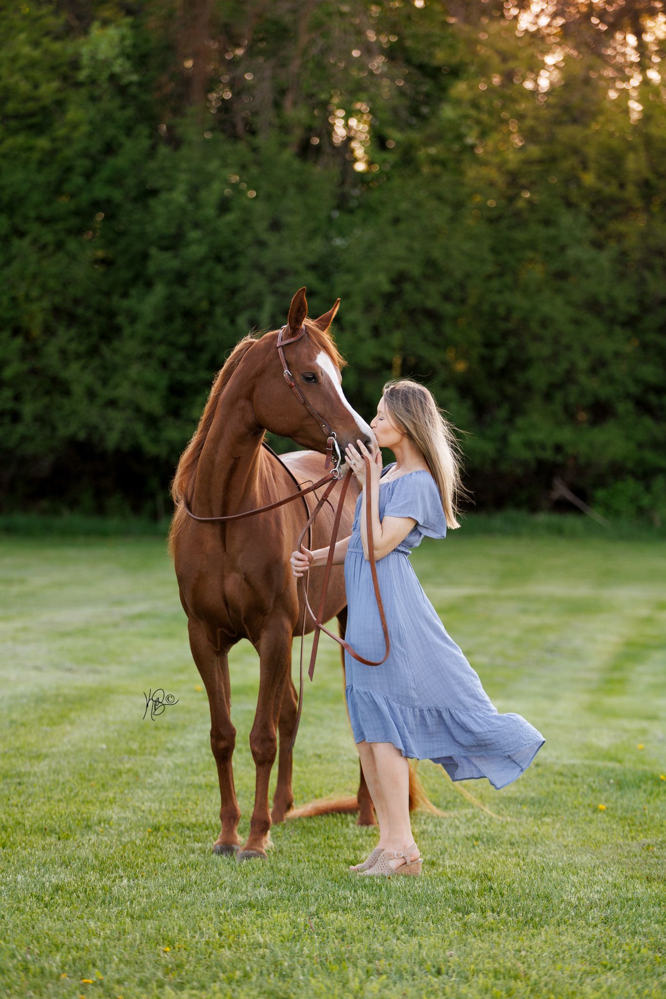 Female equestrian in a blue dress kisses the nose of her arabian horse.