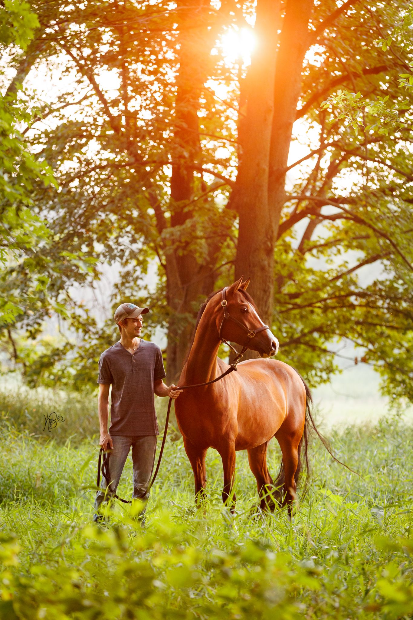 A young male equestrian poses with a tall bay horse in a sunlit meadow with trees at sunset creating a warm golden atmosphere.