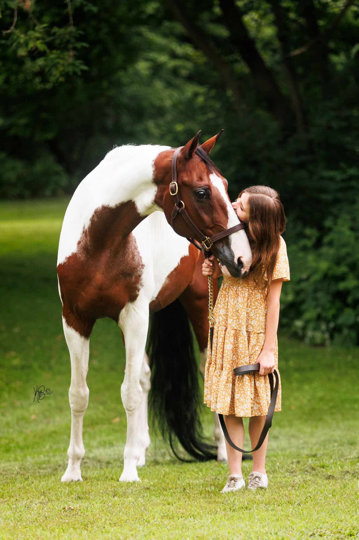 Young girl in a dress kissing the nose of her half arabian pinto horse.