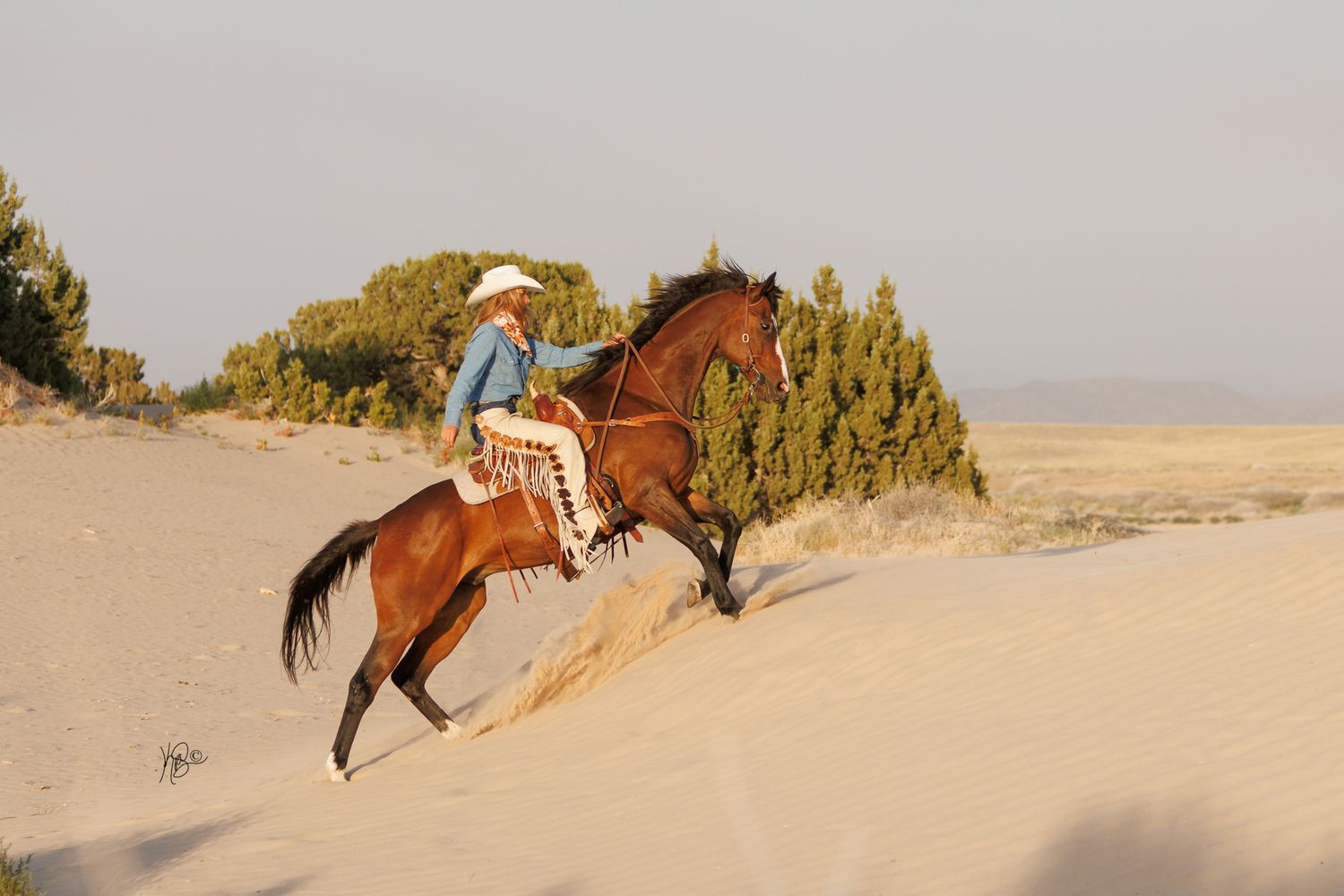 A horse and rider gallop across sandy terrain with mountains in the background.