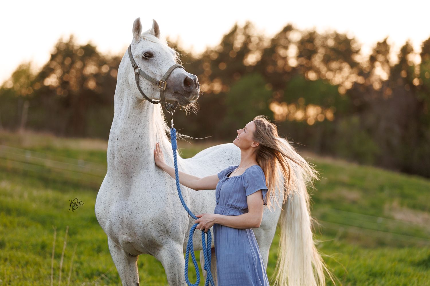 A young woman standing next to and looking up at her grey arabian stallion, who is standing proudly in a field at sunset