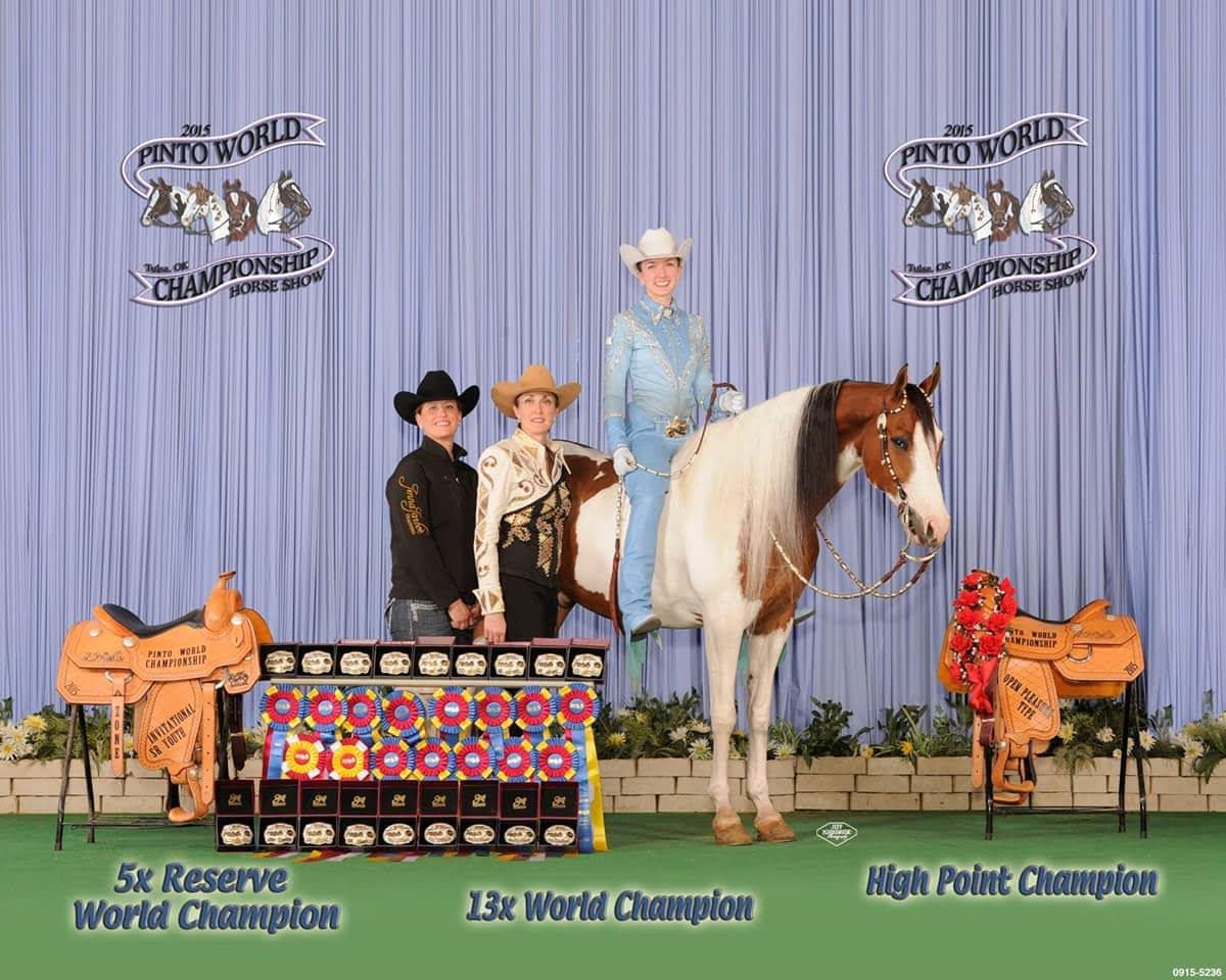 Row of equestrian championship awards displayed against blue backdrop showing various riding disciplines.