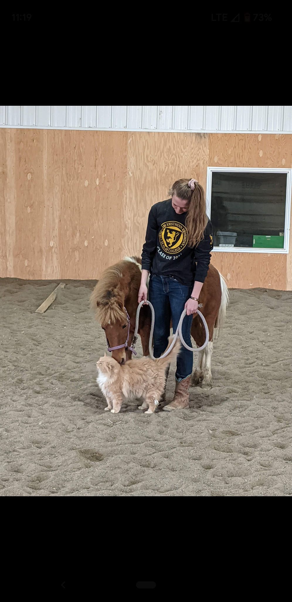 A girl standing with a pinto pony and tan cat in an arena