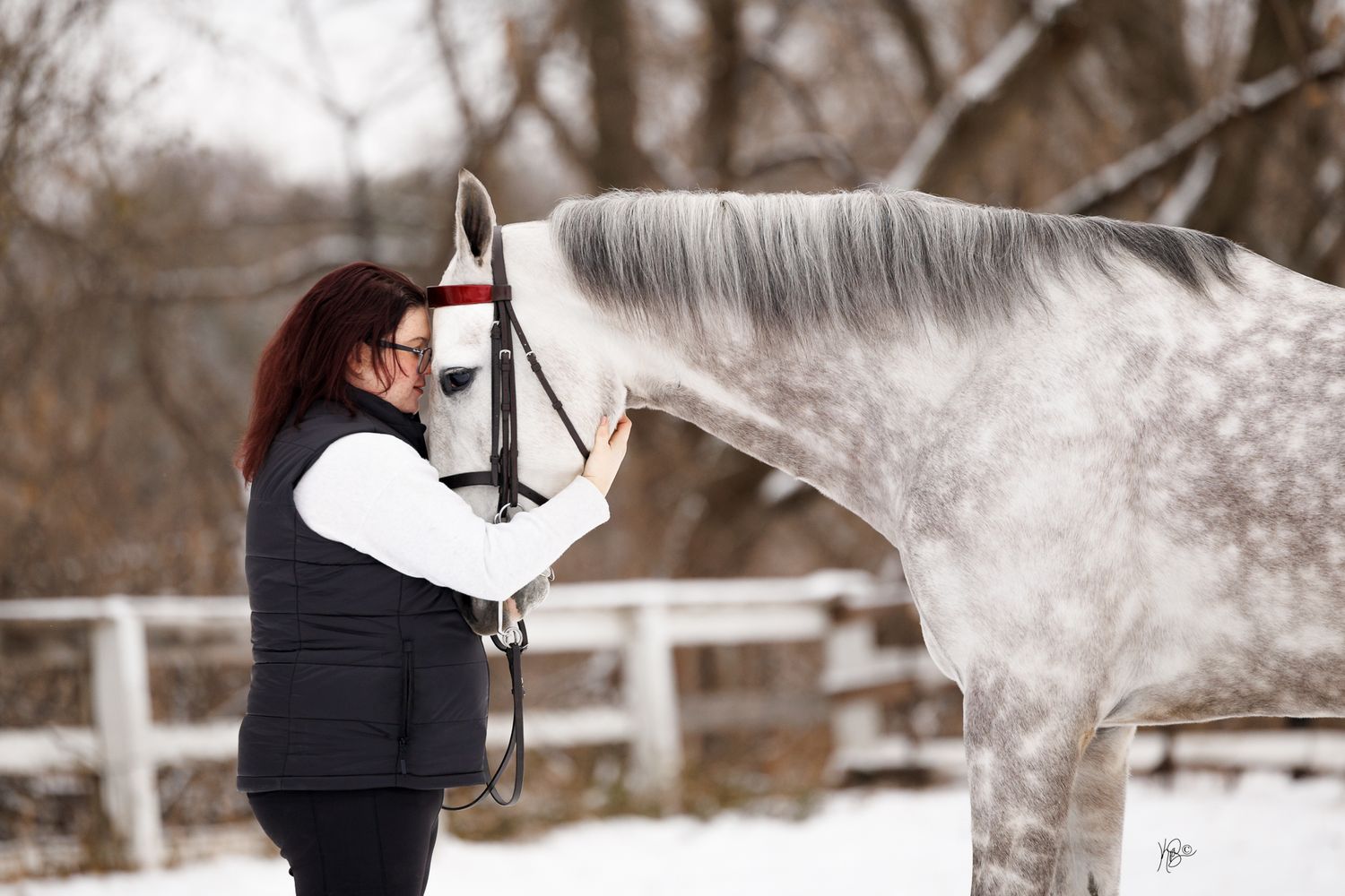Equestrian woman hugs the head of her saddlebred show horse in a snowy winter landscape with white fencing.