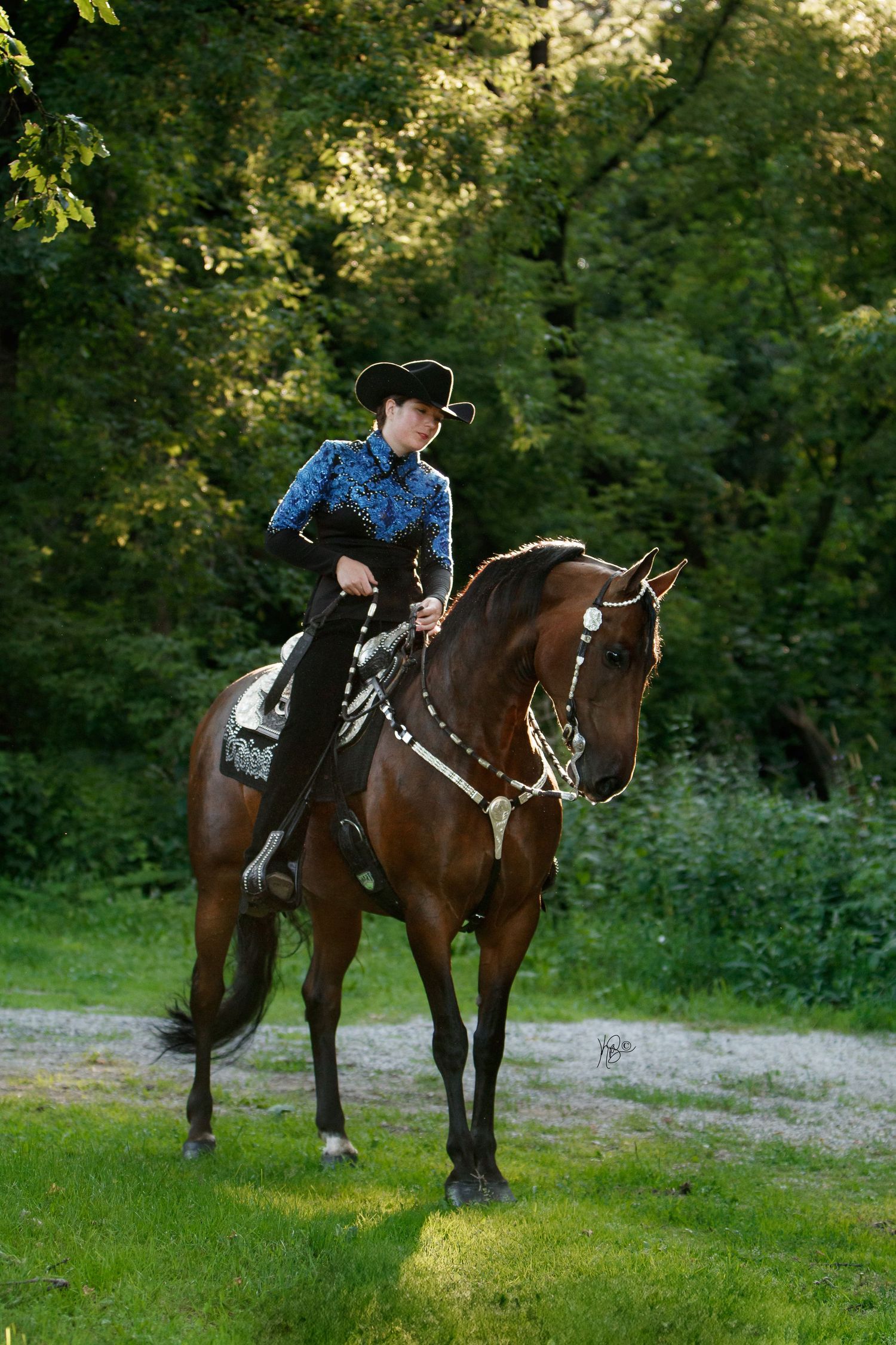 Western rider riding her horse in show attire, backlit in a green setting.