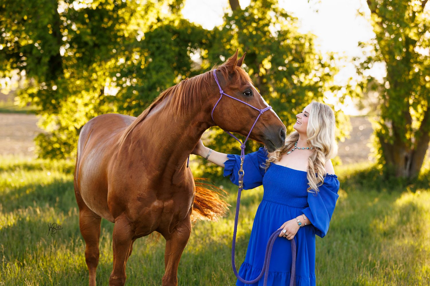 Horse and Rider sharing a moment in sunlit meadow with golden light filtering through trees.
