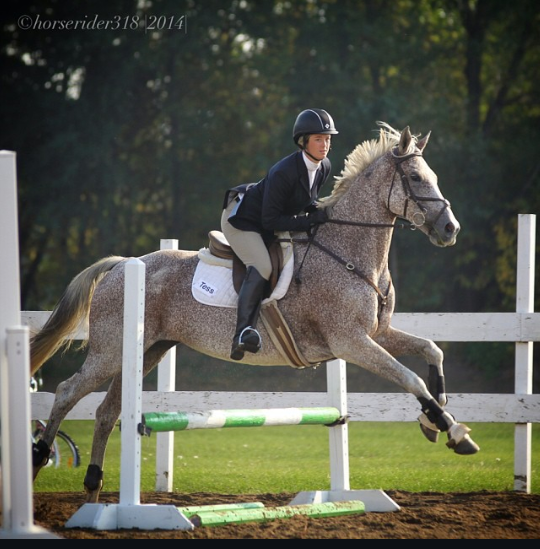 Gray horse and rider jumping over obstacles in show jumping competition.