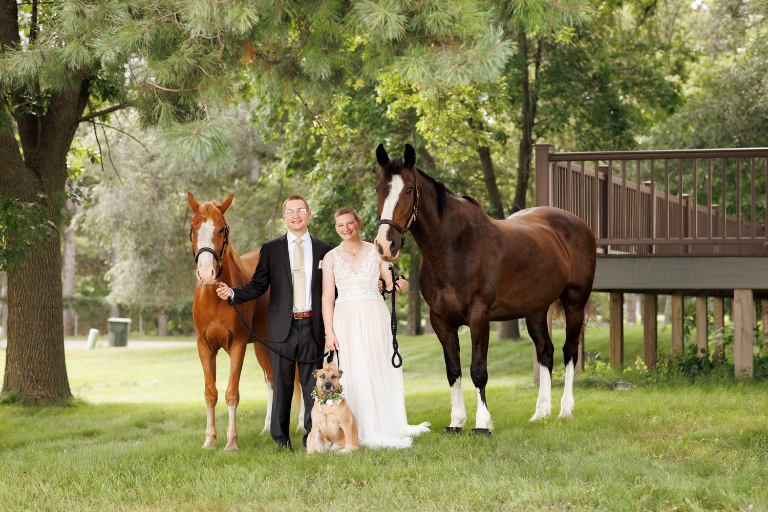 A busy photo of a bride and groom with their dog and 2 horses, a deck and distractions in the background