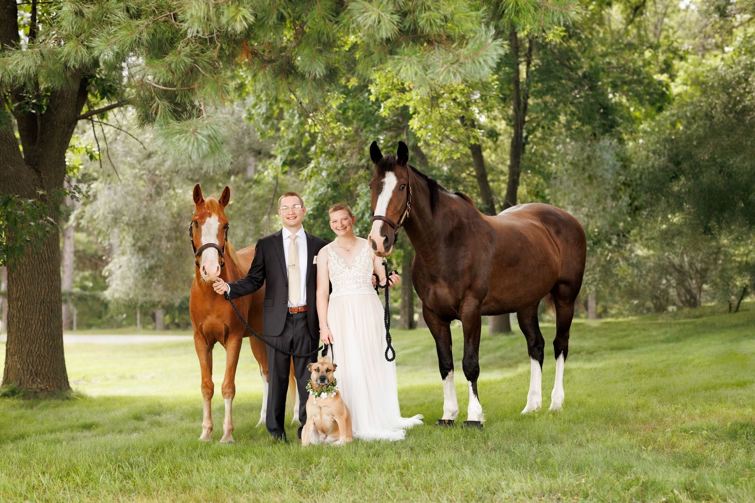Bride and groom stand with their dog and two horses on their wedding day.