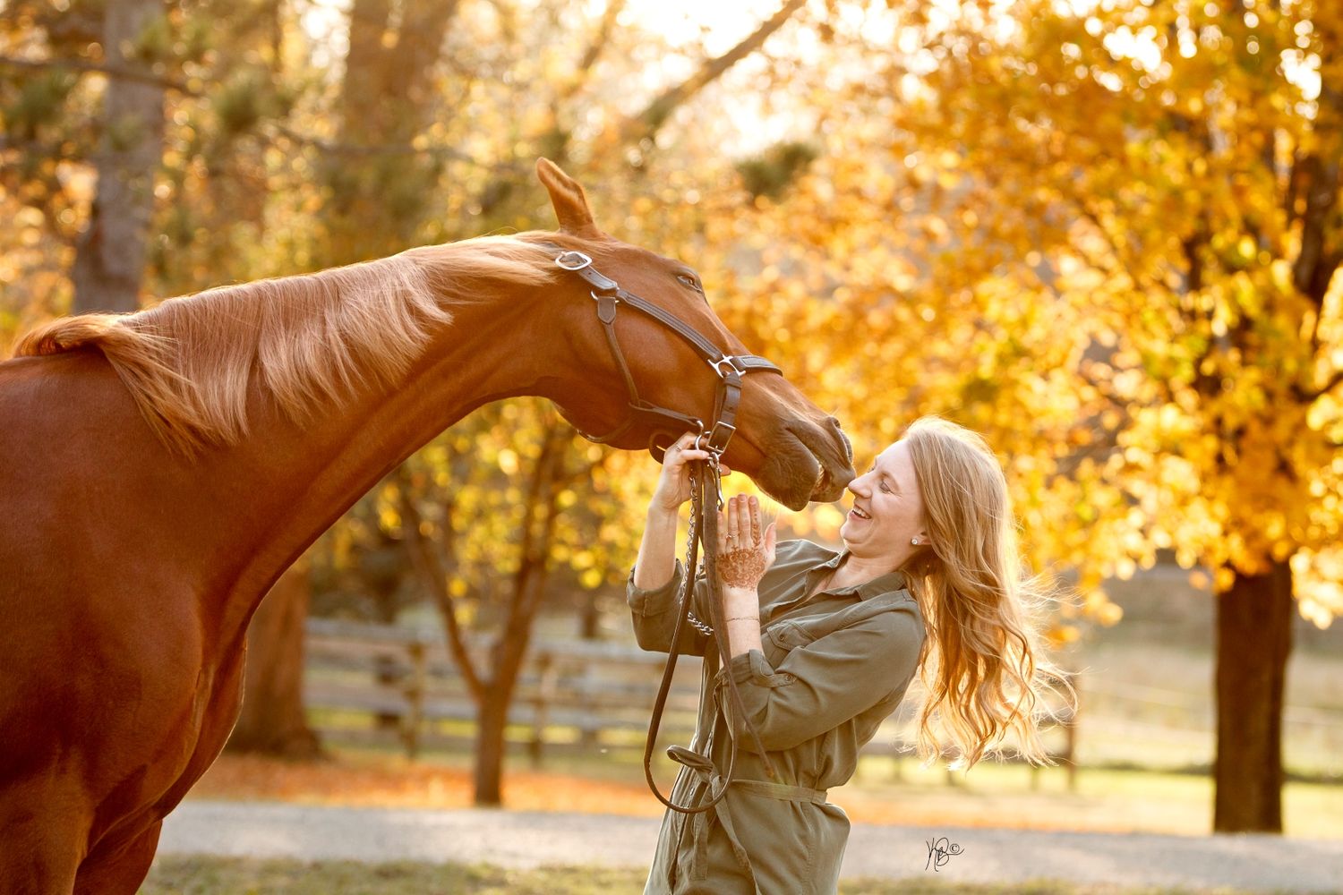 A bright fall photo of a chestnut horse being goofy with his owner laughing while standing in front of his face