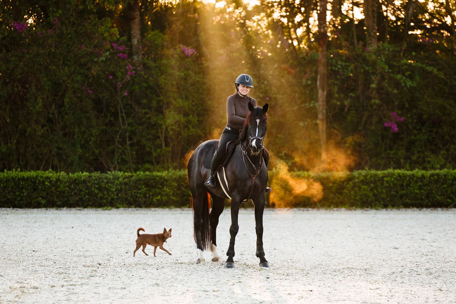 A horse and rider standing in a ray of golden light filtering through the trees.