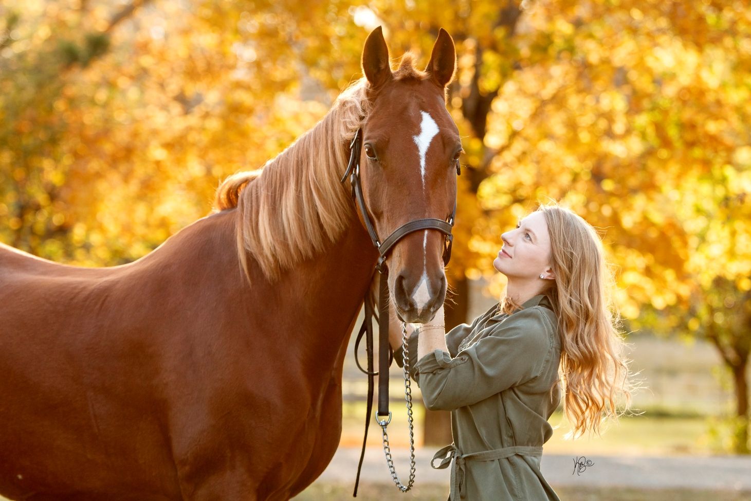 A woman looks lovingly at her chestnut horse in front of vibrant golden autumn trees.