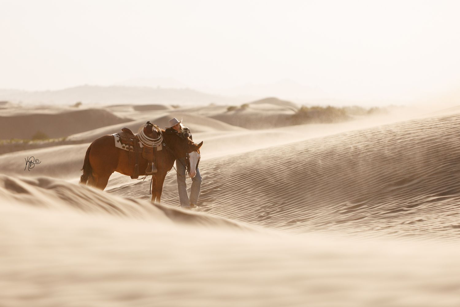 Cowgirl embracing her horse while standing in the windy sand dunes in golden light.