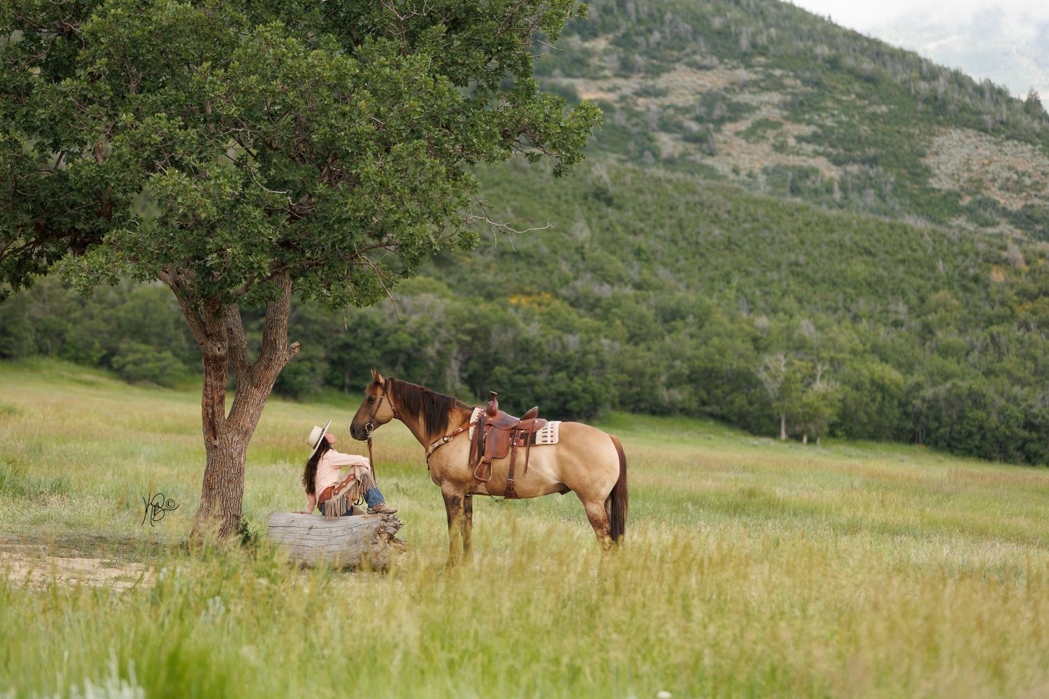 A cowgirl sitting on a rock below a tree, looking up at her horse lovingly