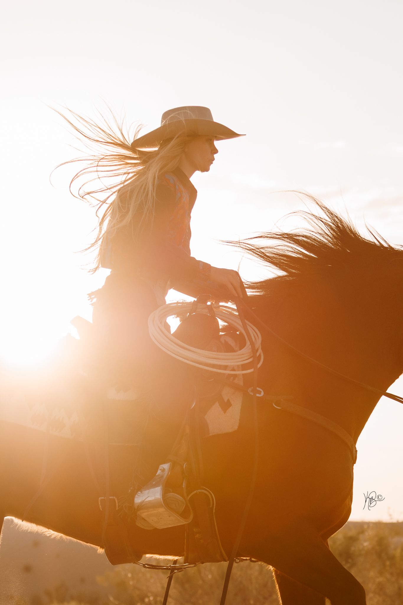 Silhouette of horse and rider against golden sunset with flowing movement.