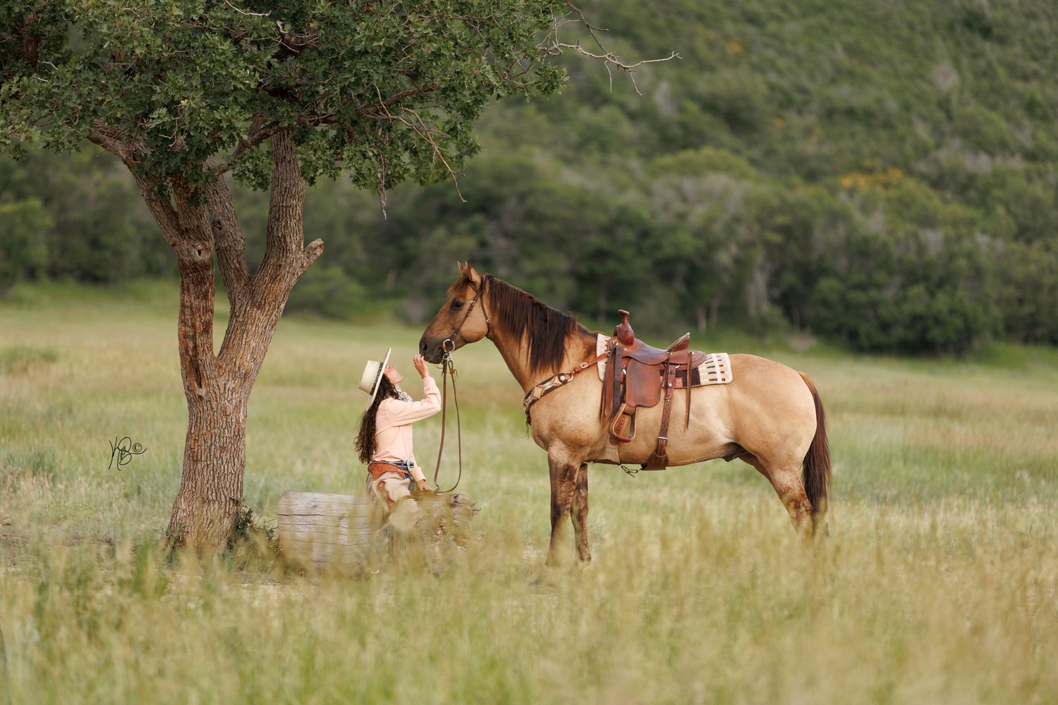 A young equestrian petting the nose of her horse under a big tree in a field