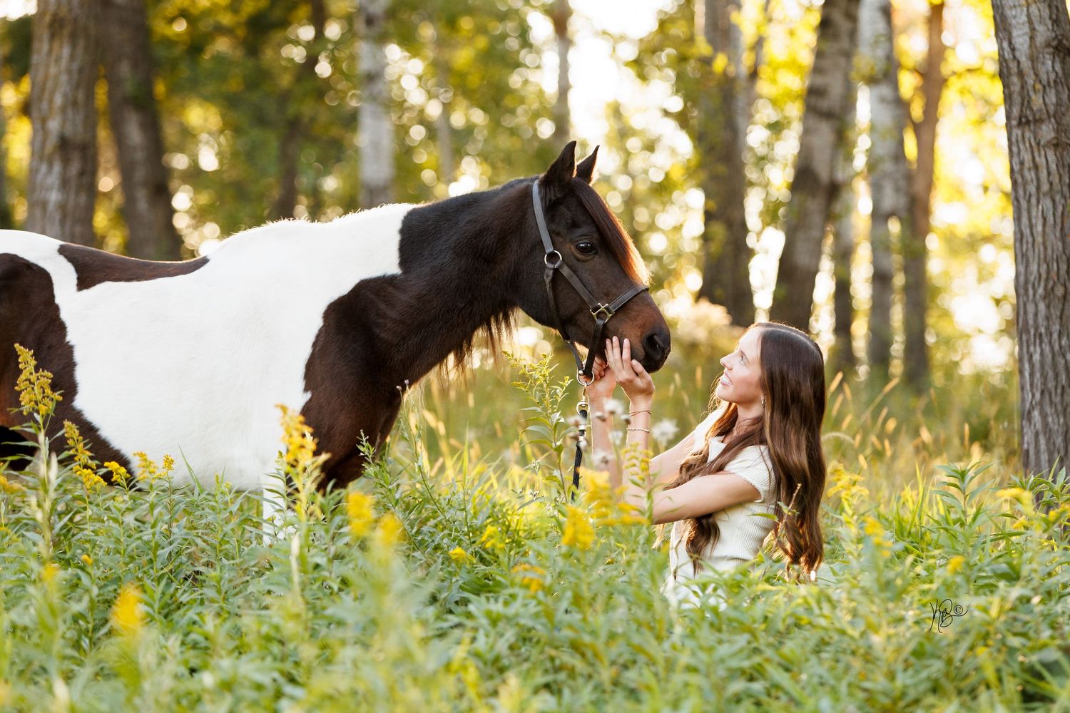 A girl holds the nose of her pinto pony in a flowering field with sun shining through the trees.