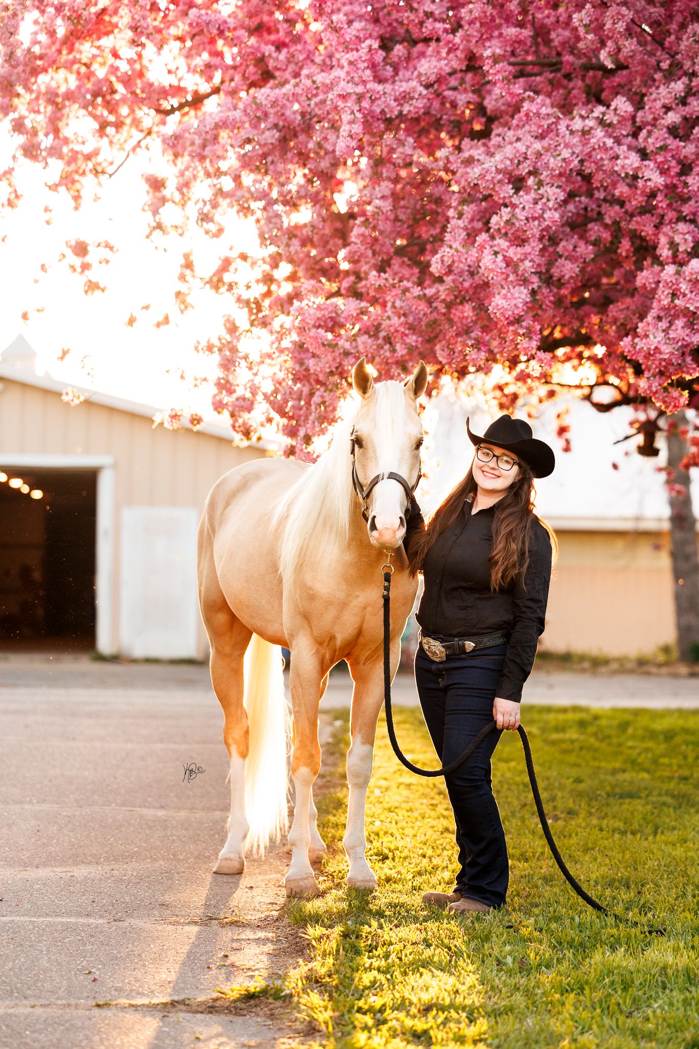 Woman in black cowboy hat with her half arabian show horse under blooming pink blossom tree near a barn.