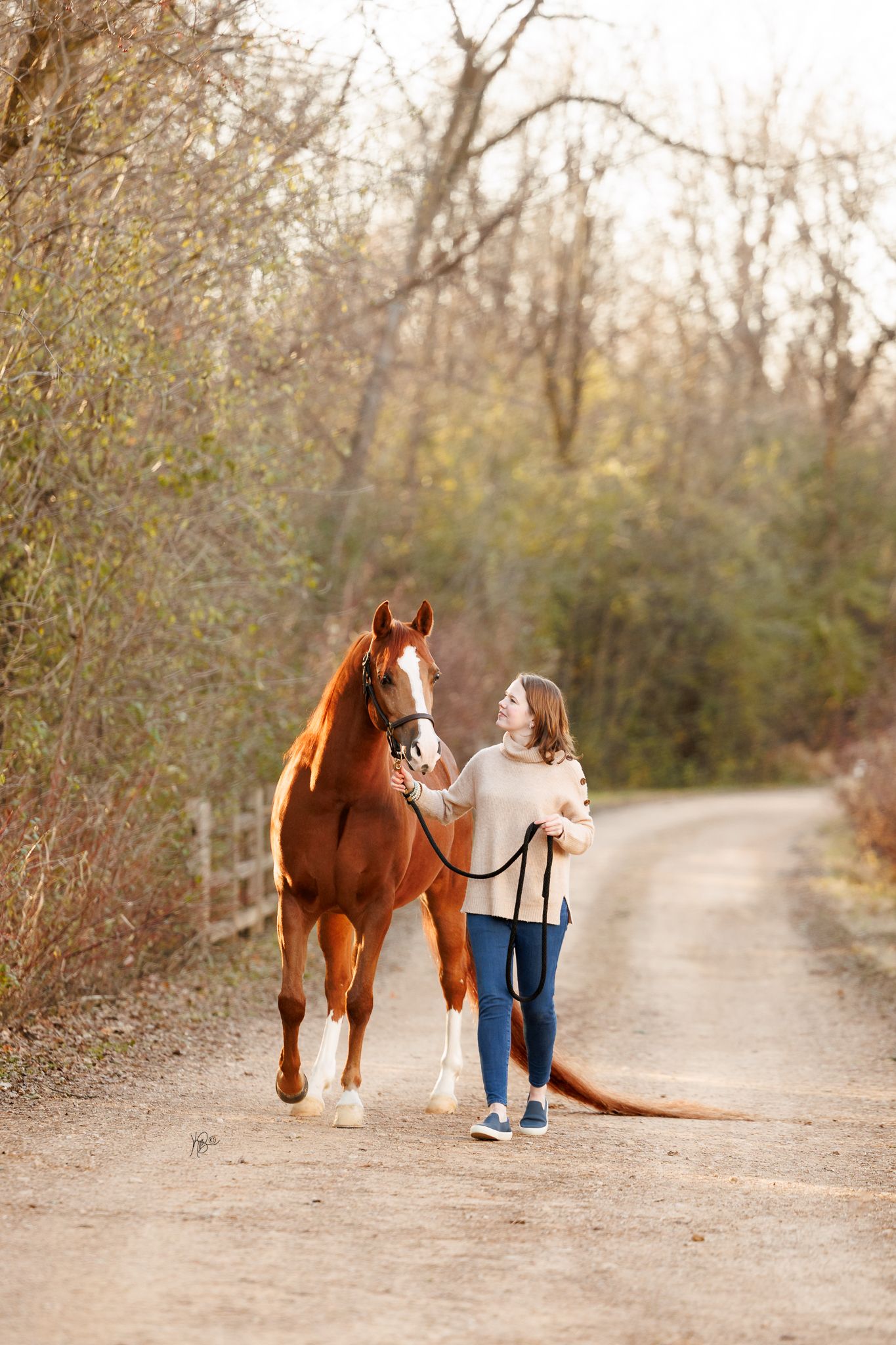 Equestrian and her arabian show horse walking on a dirt path during autumn.