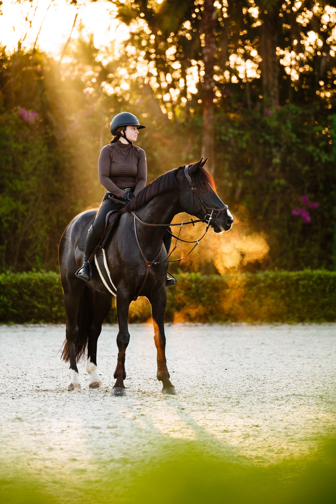 An equestrian rider on a dark horse in a sandy arena with golden sunlight filtering through trees.