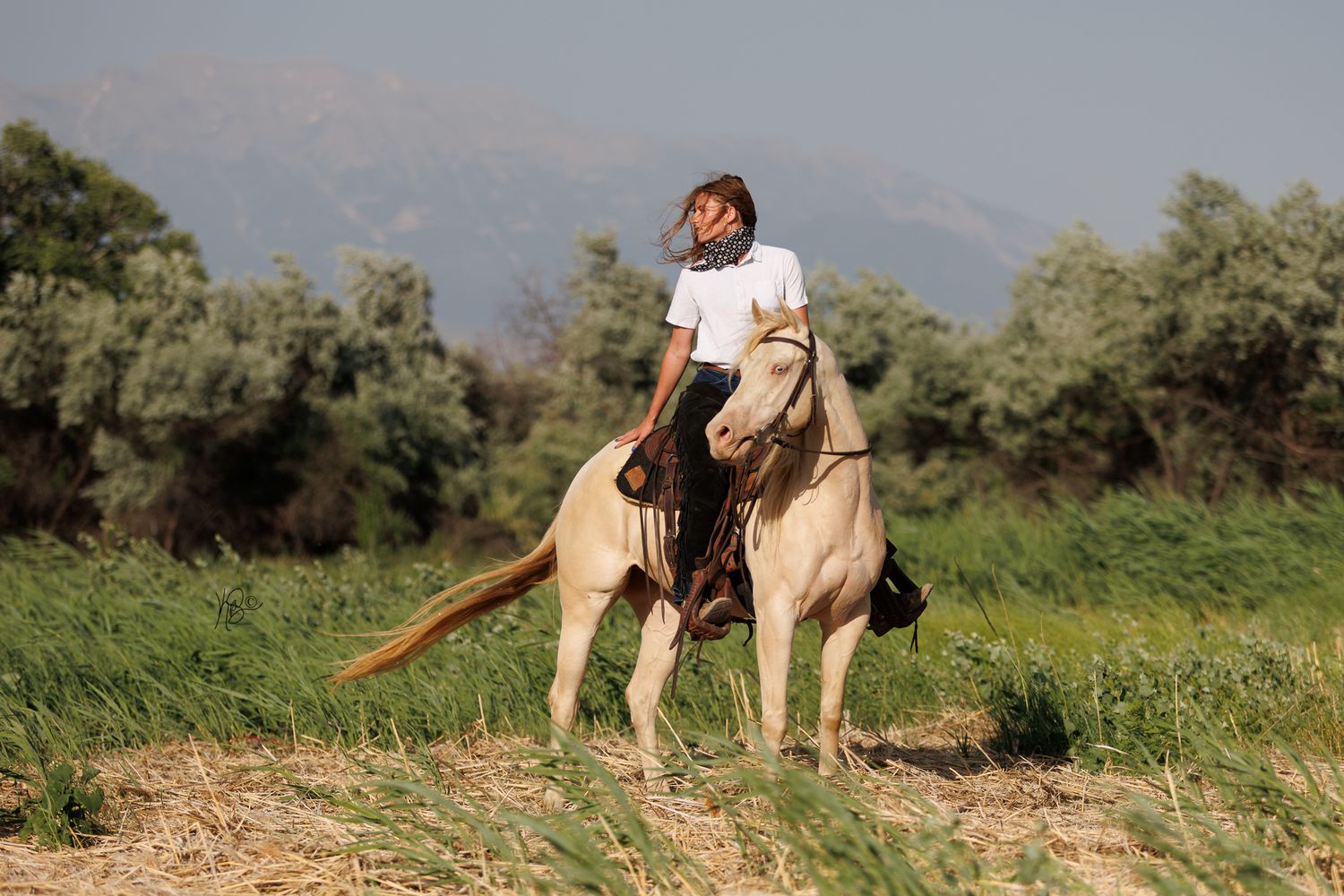 A girl on her perlino horse in a field, both looking dramatically into the distance