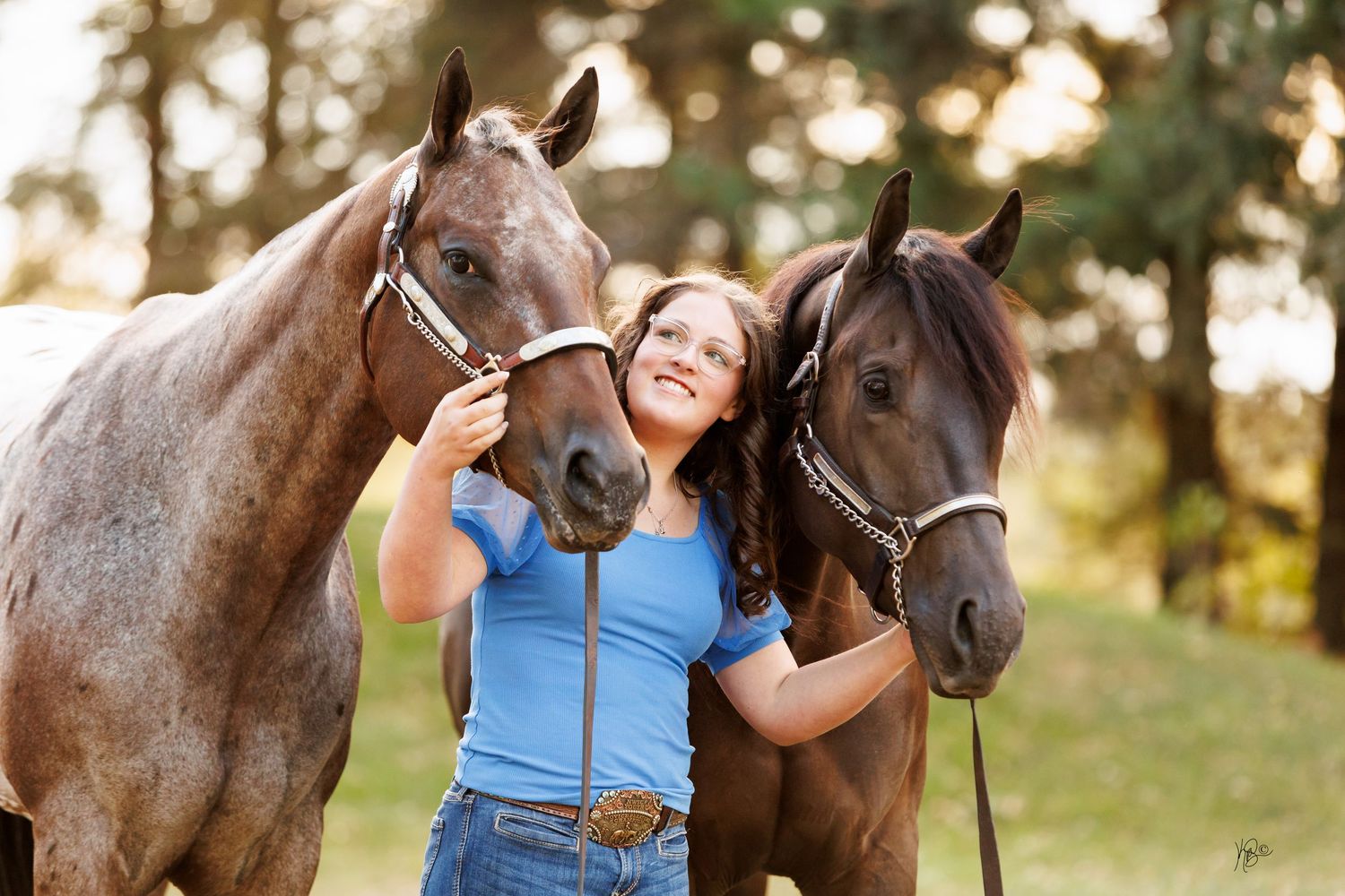 A senior girl with her two show horses in western halters on a sunny day.