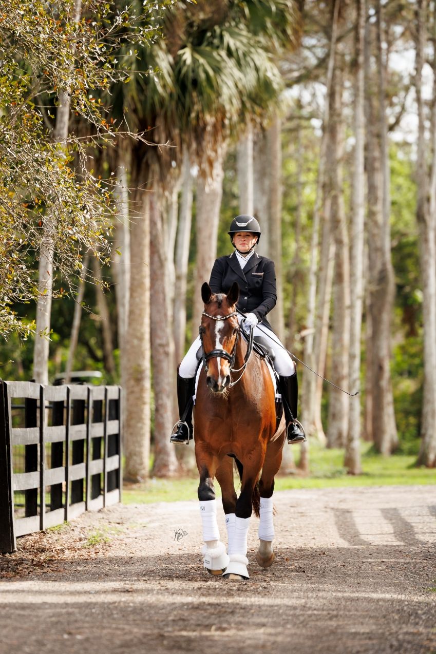 Dressage riderr on a bay horse with white leg wraps walking down tree-lined path.