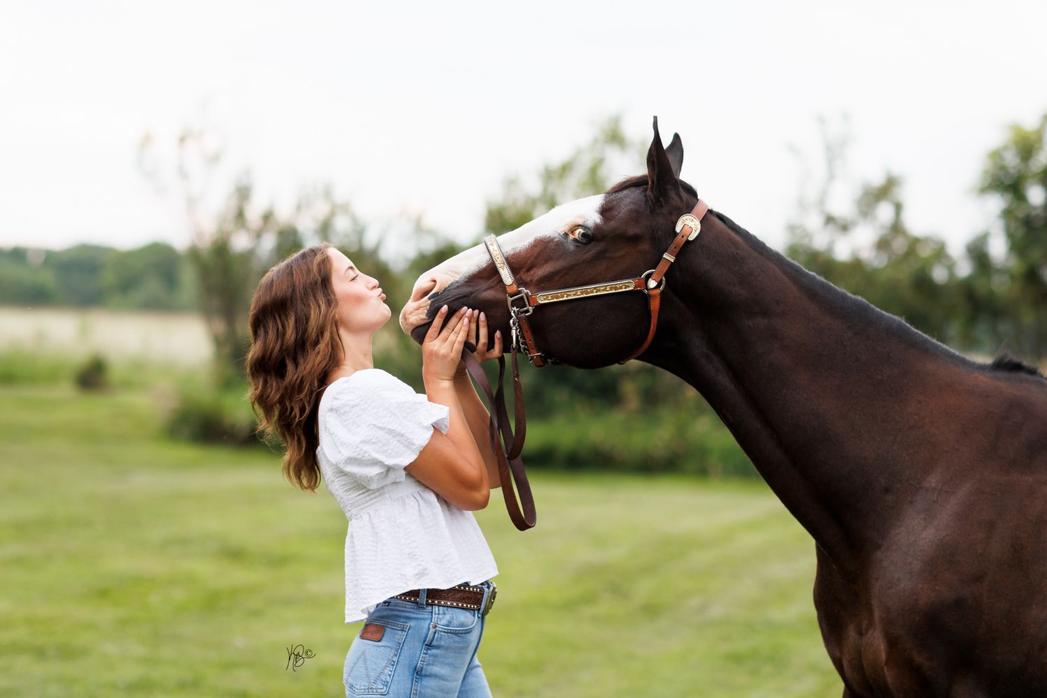 A dark brown horse and senior equestrian share an affectionate moment in a grassy field on a sunny day.