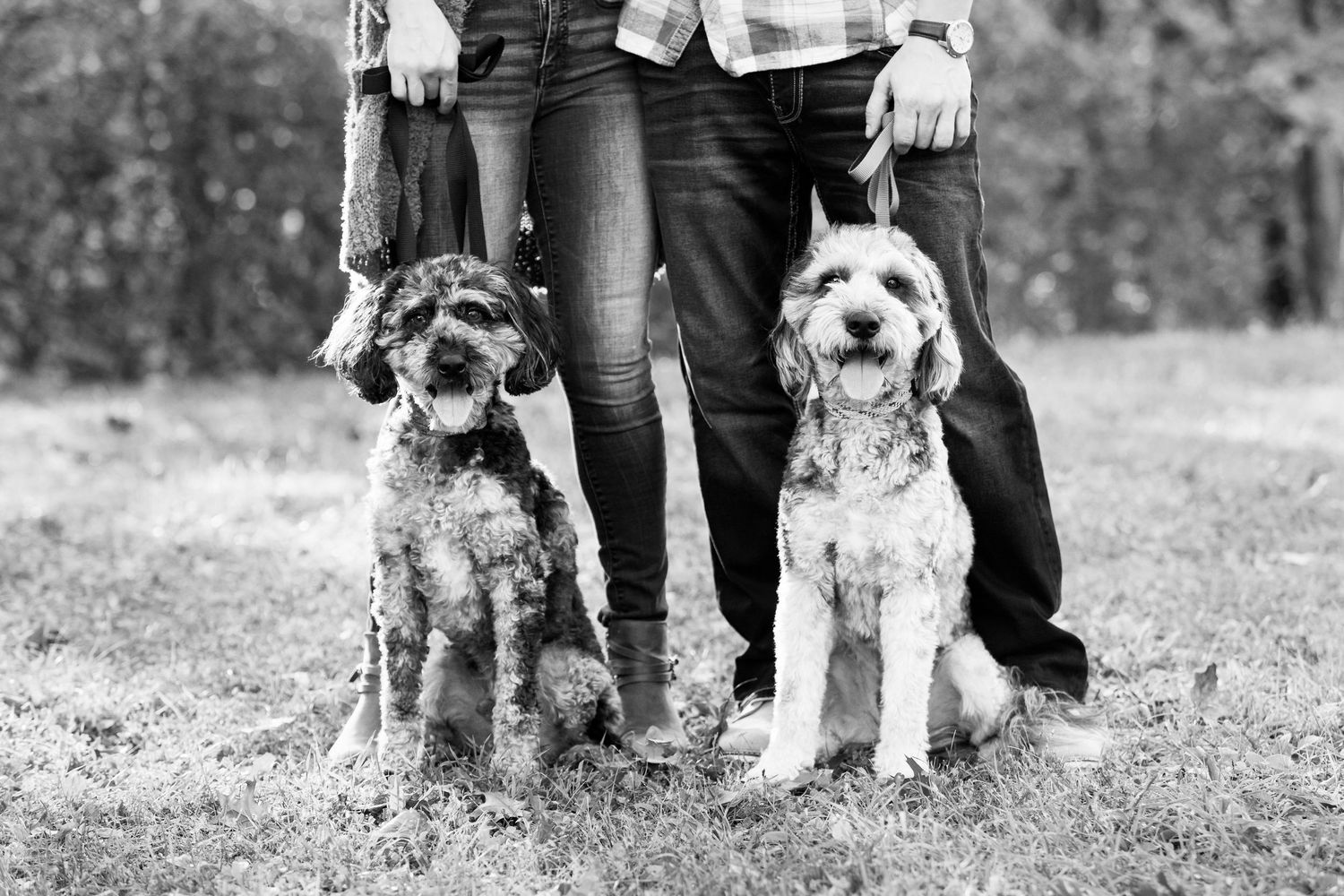 Black and white photo showing 2 dogs and their owners standing together in the grass.