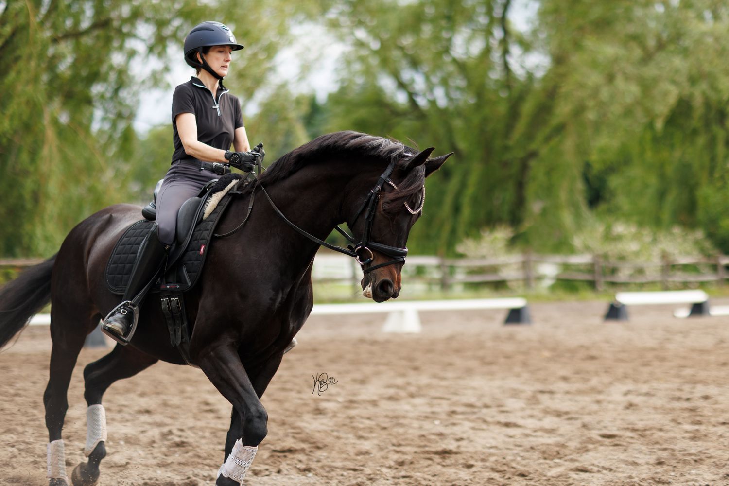 A cropped image of a dressage rider trotting on a dark bay horse in an arena