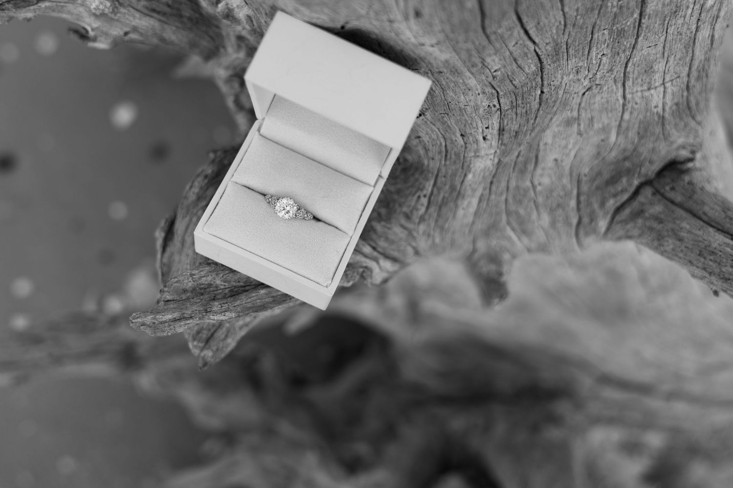 Surprise proposal photographed on St. Simons Island in the Golden Isles of Georgia