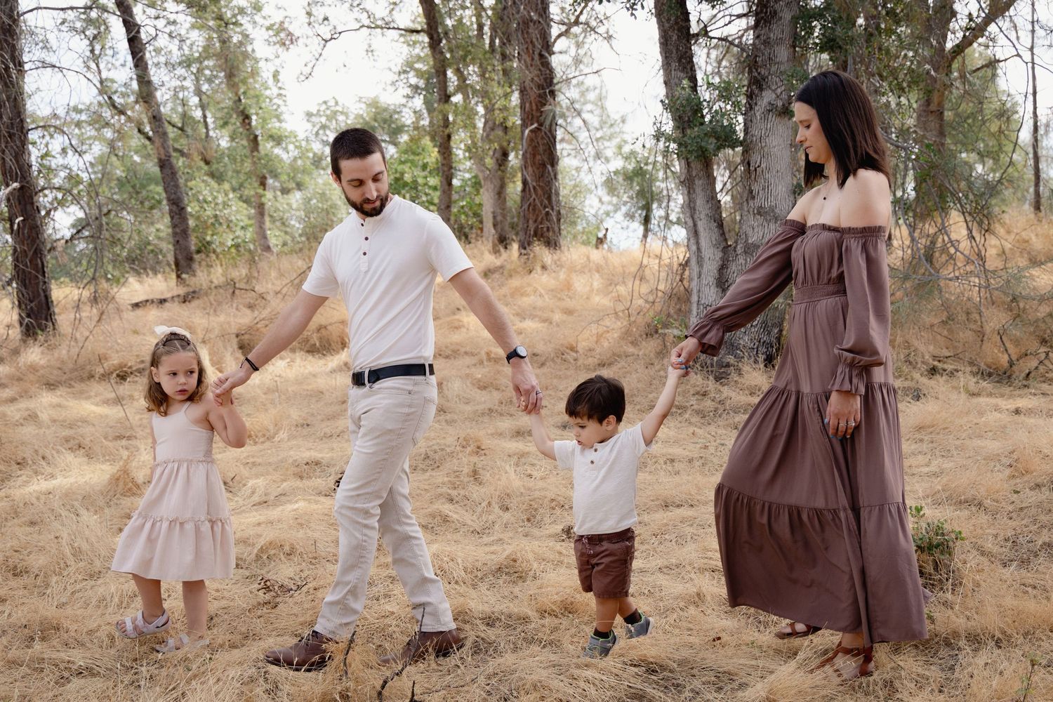 Family of four holding hands walking through a sunlit forest meadow with dry grass and trees.