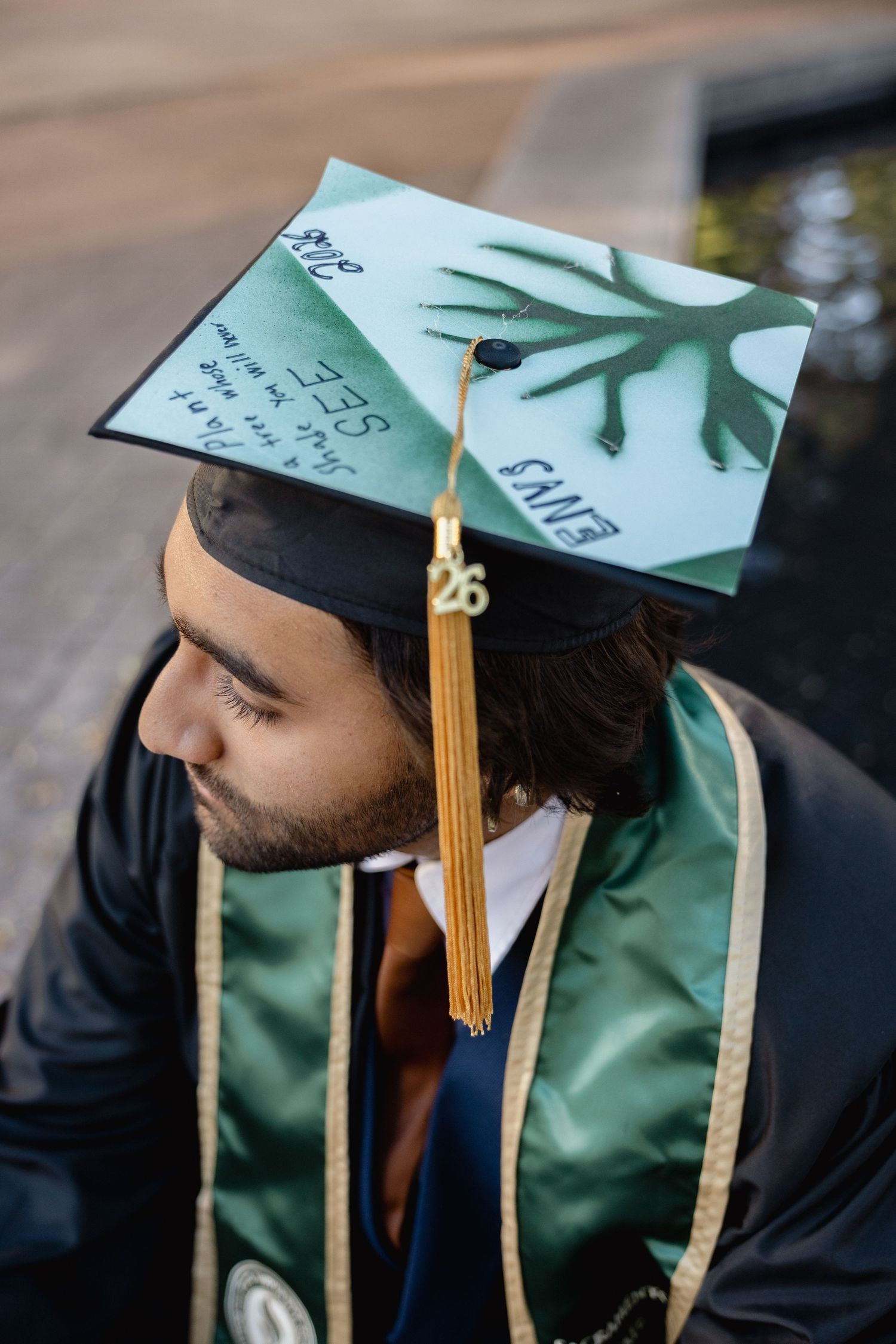 Graduate wearing decorated mortarboard cap with green tree design and gold tassel, dressed in green graduation regalia.