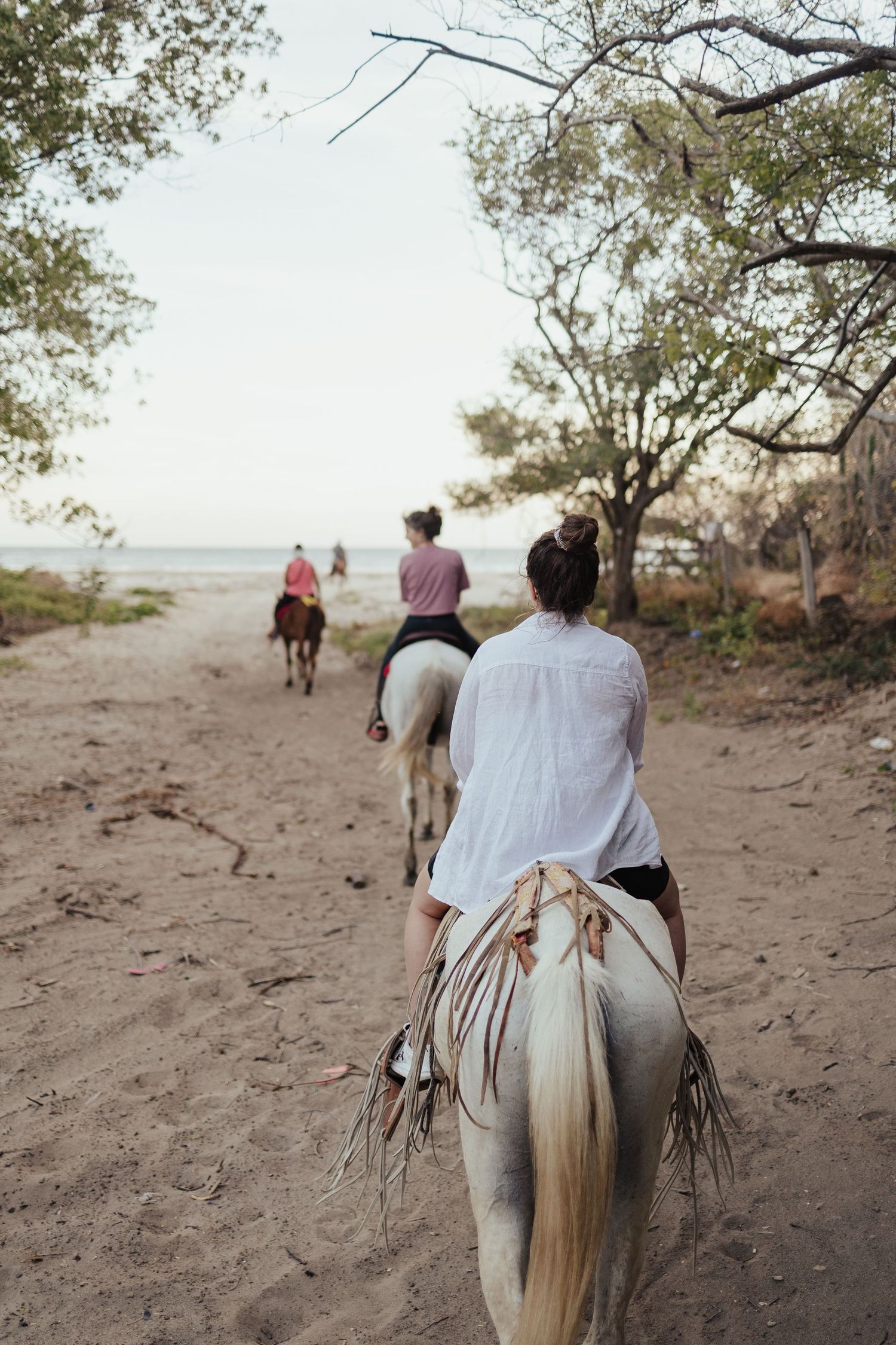 Group of riders on horseback trekking along a sandy coastal trail toward the beach, surrounded by lush trees.