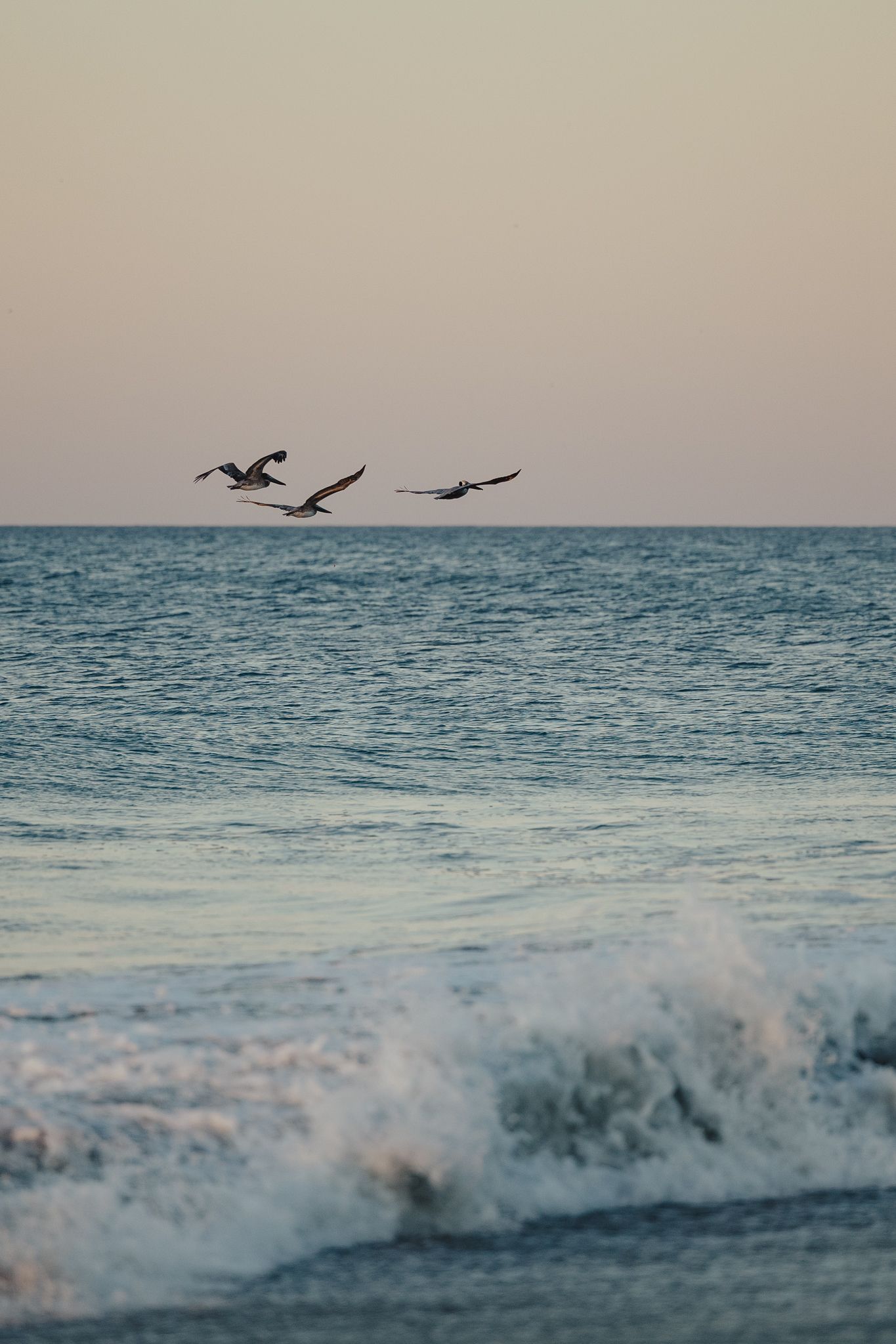 Three pelicans fly low over ocean waves at dusk, with calm blue water and a pastel sky in the background.