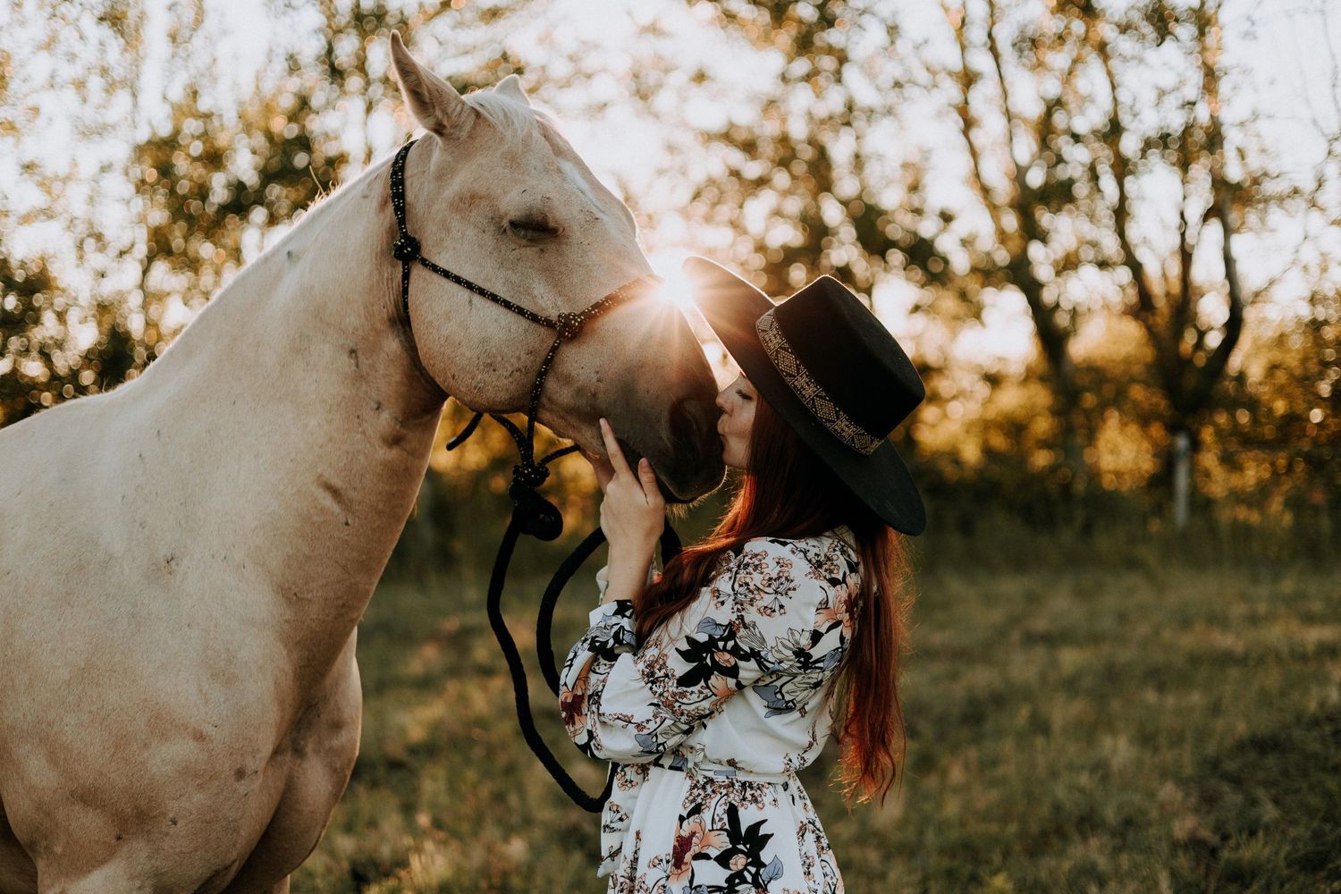 Woman in floral dress and hat kissing a white horse at golden hour in a sunlit field.
