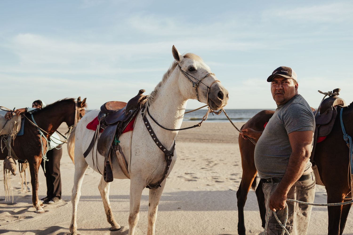 A man stands beside a white saddled horse on a sandy beach with more horses lined up in the background.