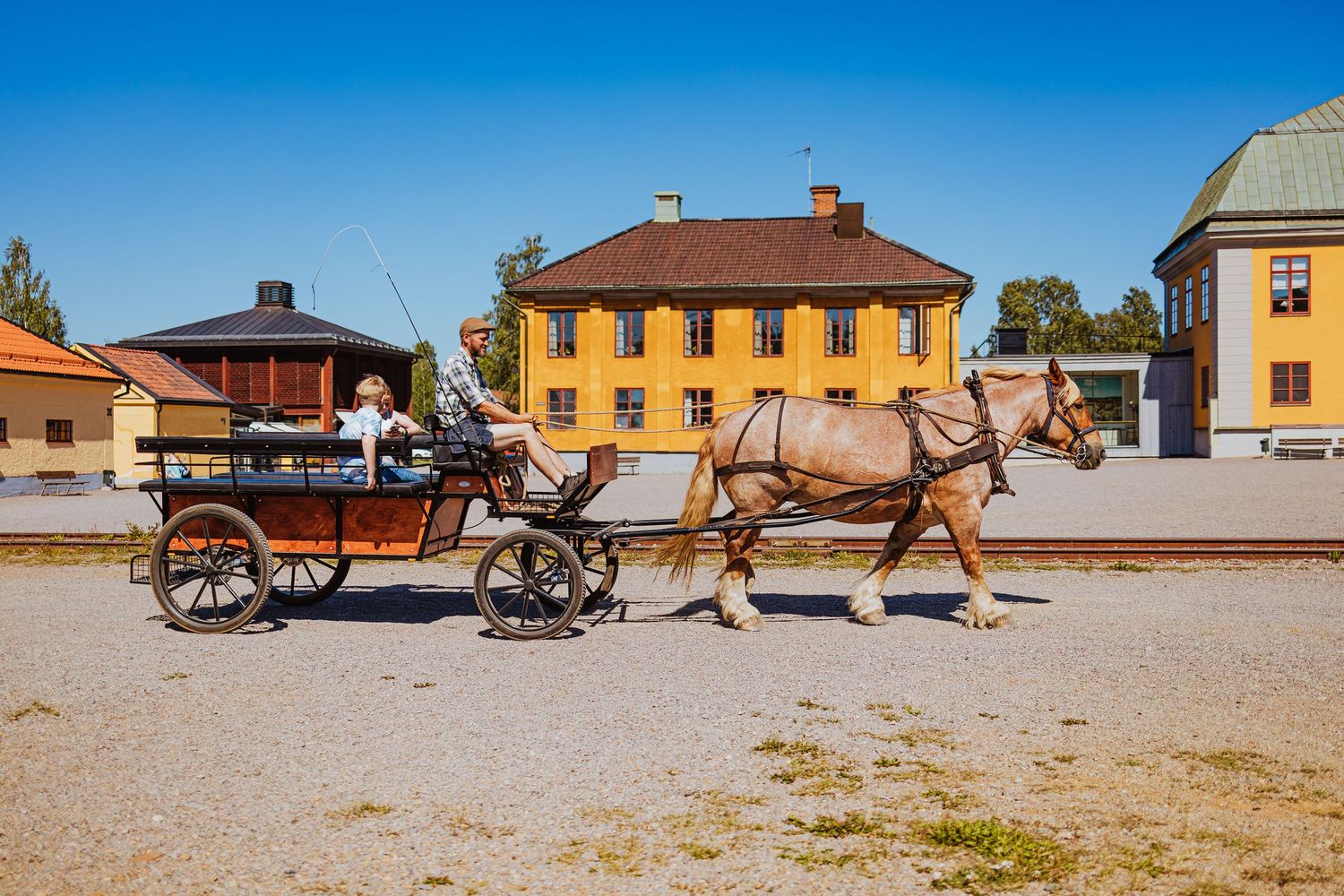 Horse-drawn carriage ride through a historic Swedish town square with colorful buildings on a sunny day.