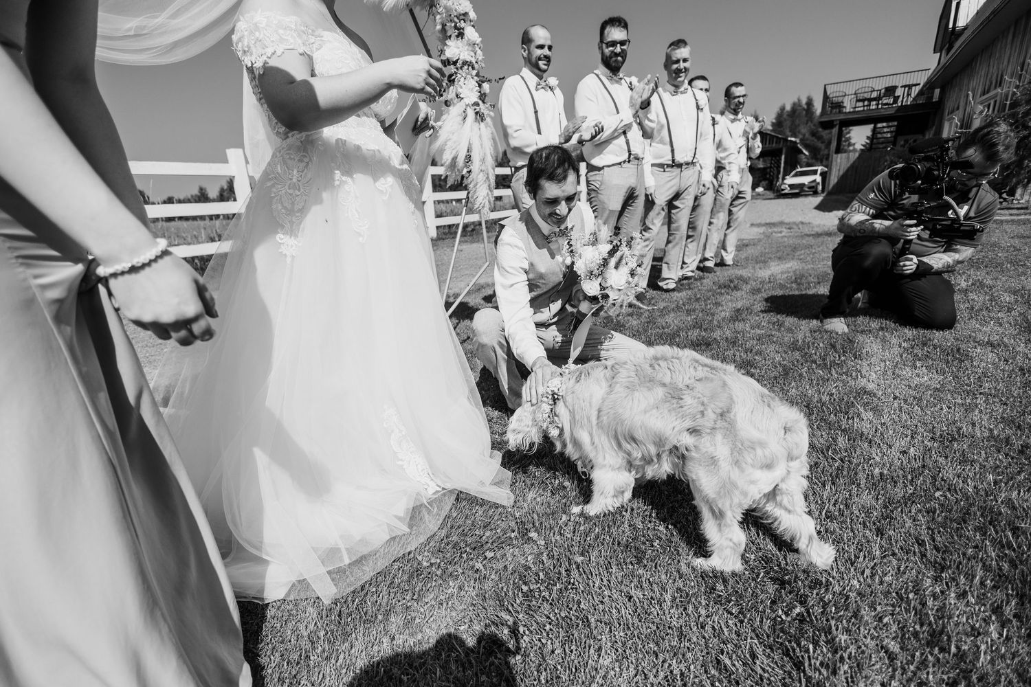 Black and white wedding photo of groom petting a fluffy dog while bridal party stands in background outdoors.