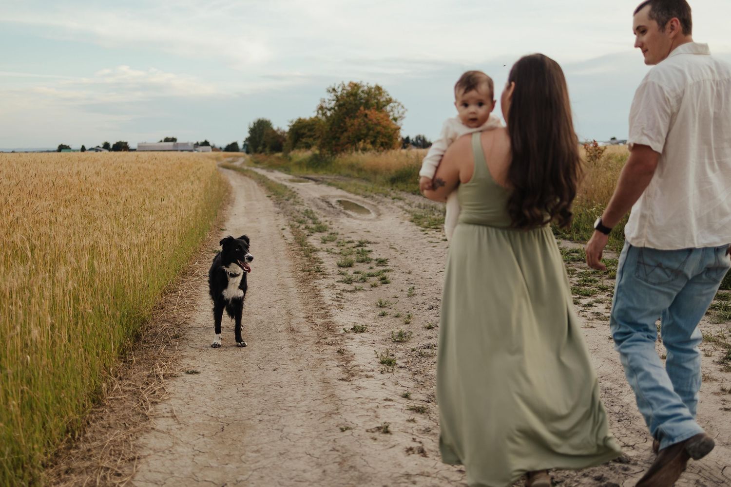 Family with baby and black dog walking on rural dirt path beside golden wheat field on cloudy day.
