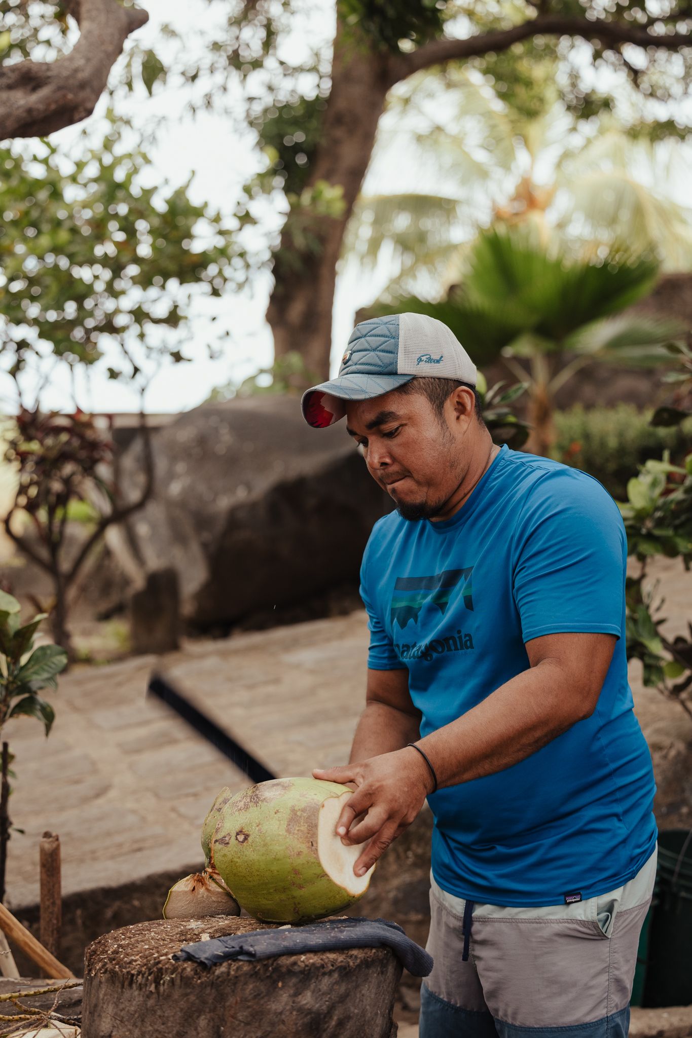 Man in blue shirt and cap skillfully opening a fresh green coconut outdoors in a tropical garden setting.