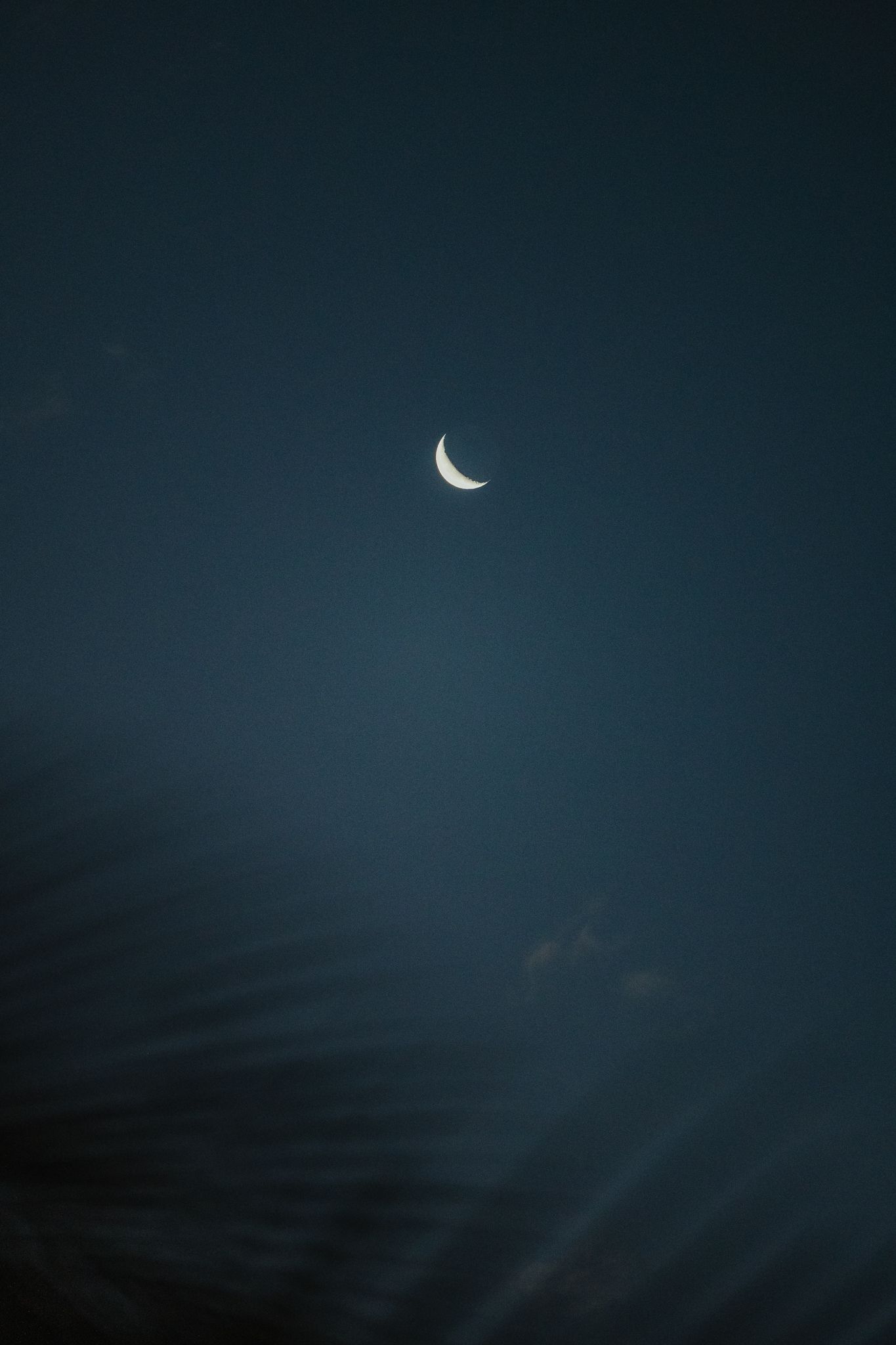 A crescent moon glows against a deep teal night sky with wispy clouds and dark palm fronds in the foreground.