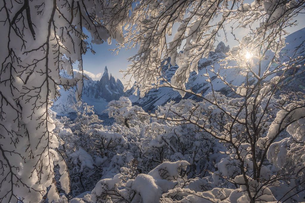 Snow-covered trees frame jagged mountain peaks with sunlight streaming through frost-laden branches in a winter wonderland.