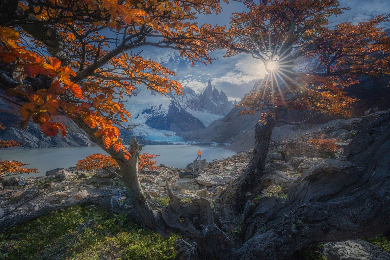 Autumn tree with orange foliage frames a sunlit glacial lake and snow-capped mountains in Patagonia.