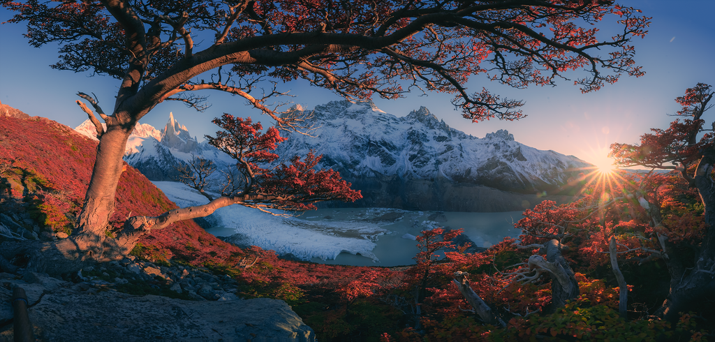 Autumn tree with red leaves frames a stunning mountain lake at sunrise in Patagonia, Argentina.