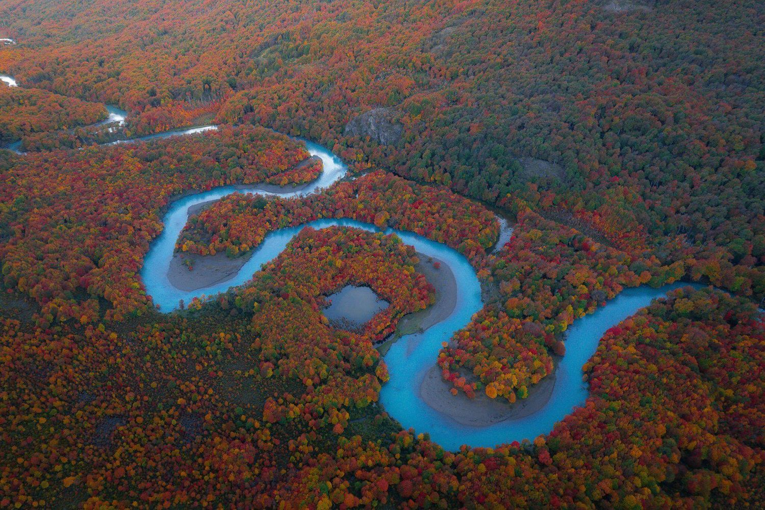Aerial view of a winding blue river snaking through vibrant autumn forest foliage in shades of red and orange.